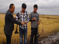 2015年中国松嫩平原盐碱土地改良实验区纪实录（之4）