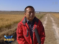 2014年镇赉县电视台新闻报道—盐碱地种稻用禾康
