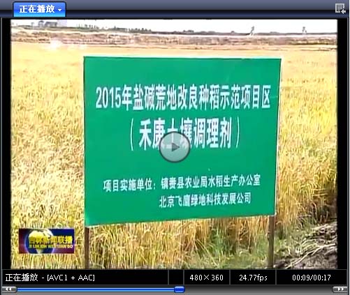 [吉林新闻联播]镇赉县盐碱地改良技术试验成功